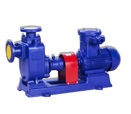 Amorçage industriel 110kw horizontal d'individu de pompe centrifuge de 300CYZ-A-50 300CYZ-A-50